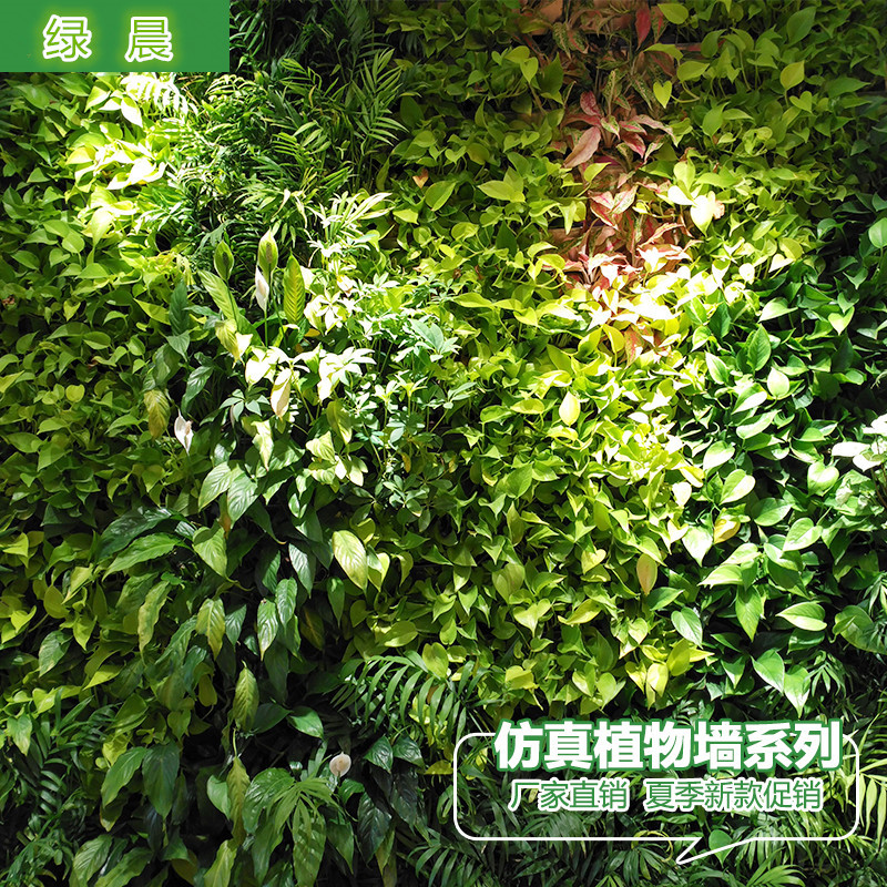 仿真植物墙 绿植墙 背景墙 婚庆花墙 立体屏风 屋顶墙壁装饰植物