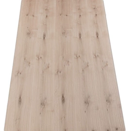 木皮;装饰板材;胶合板