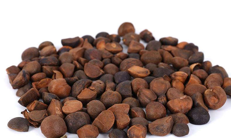 2019年11月麻城福田河油茶籽批发最新价格采购油茶籽茶油批发 电话13871961387