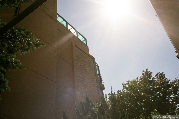 Gilet femme RUNSCH en Laine - Ref 3316427 Image 46