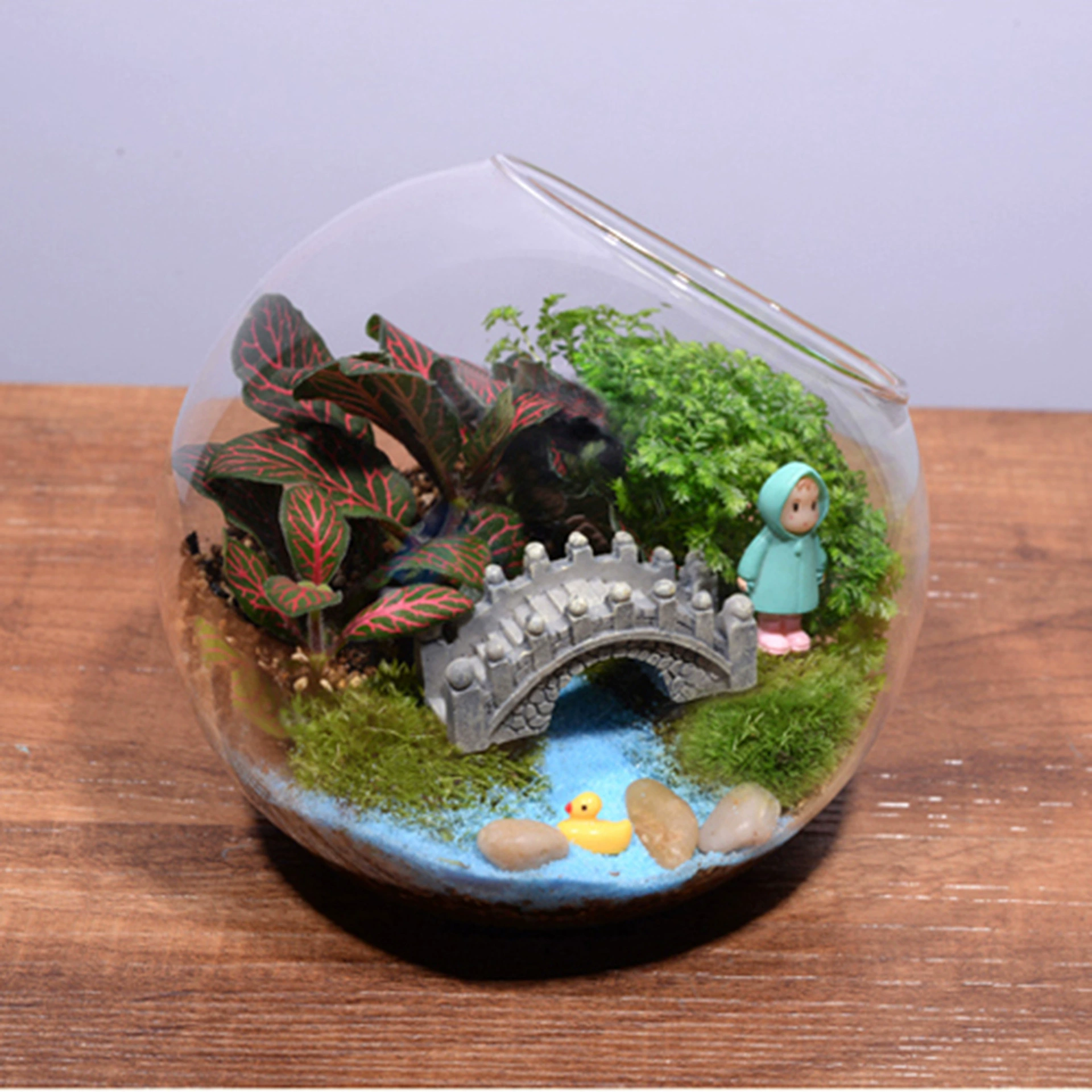 Креативный подарок мох микро пейзаж экологическая бутылка костюм дождевик Сяоми косая бутылка украшения для дома ремесел