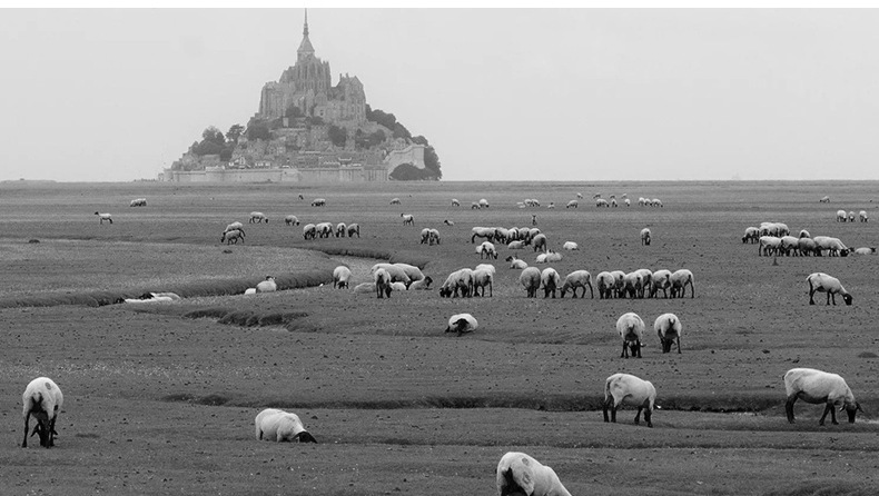 Gilet femme en Tricot - Ref 3316207 Image 17