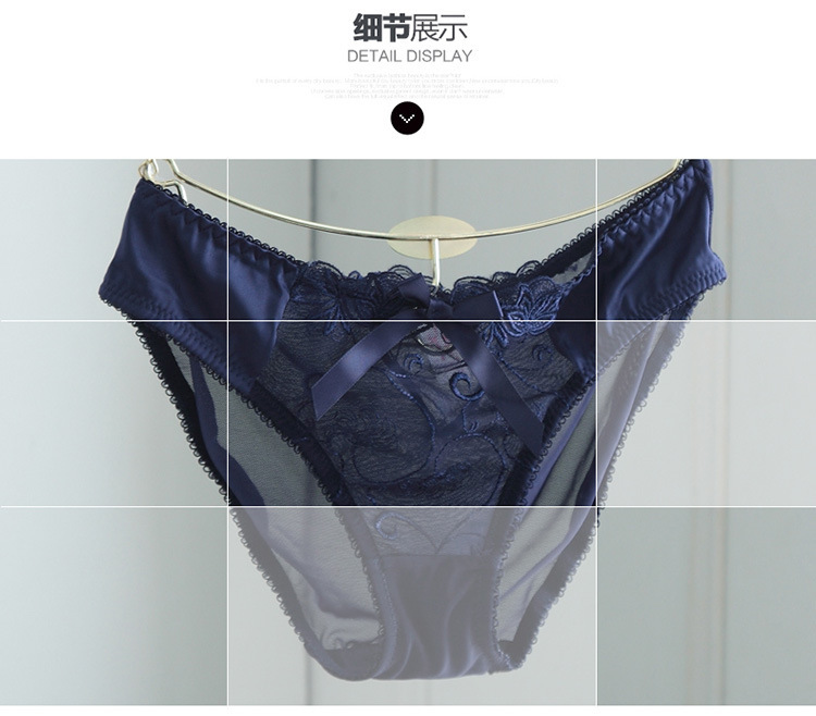 perspective hollow embroidery panty NSXQ15149