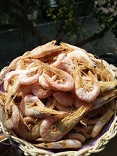 深海野生小虾干淡干干货纯天然虾干补钙海鲜110只/250克浙江特产