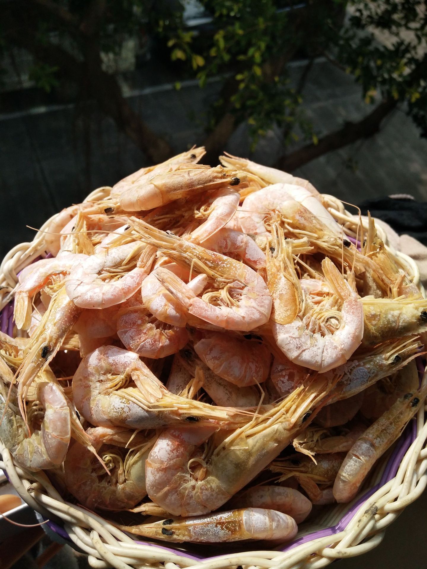 深海野生小虾干淡干干货纯天然虾干补钙海鲜110只/250克浙江特产