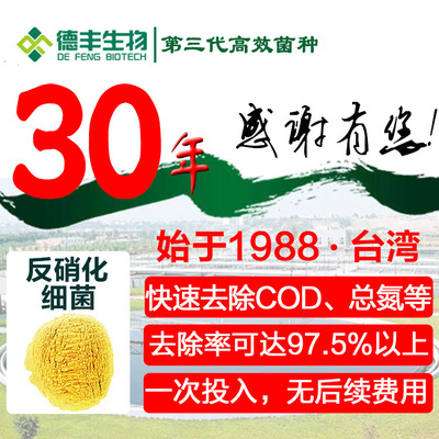 德豐生物 廢水處理 高效COD氨氮去除劑 固體 電鍍廢水氨氮去除劑