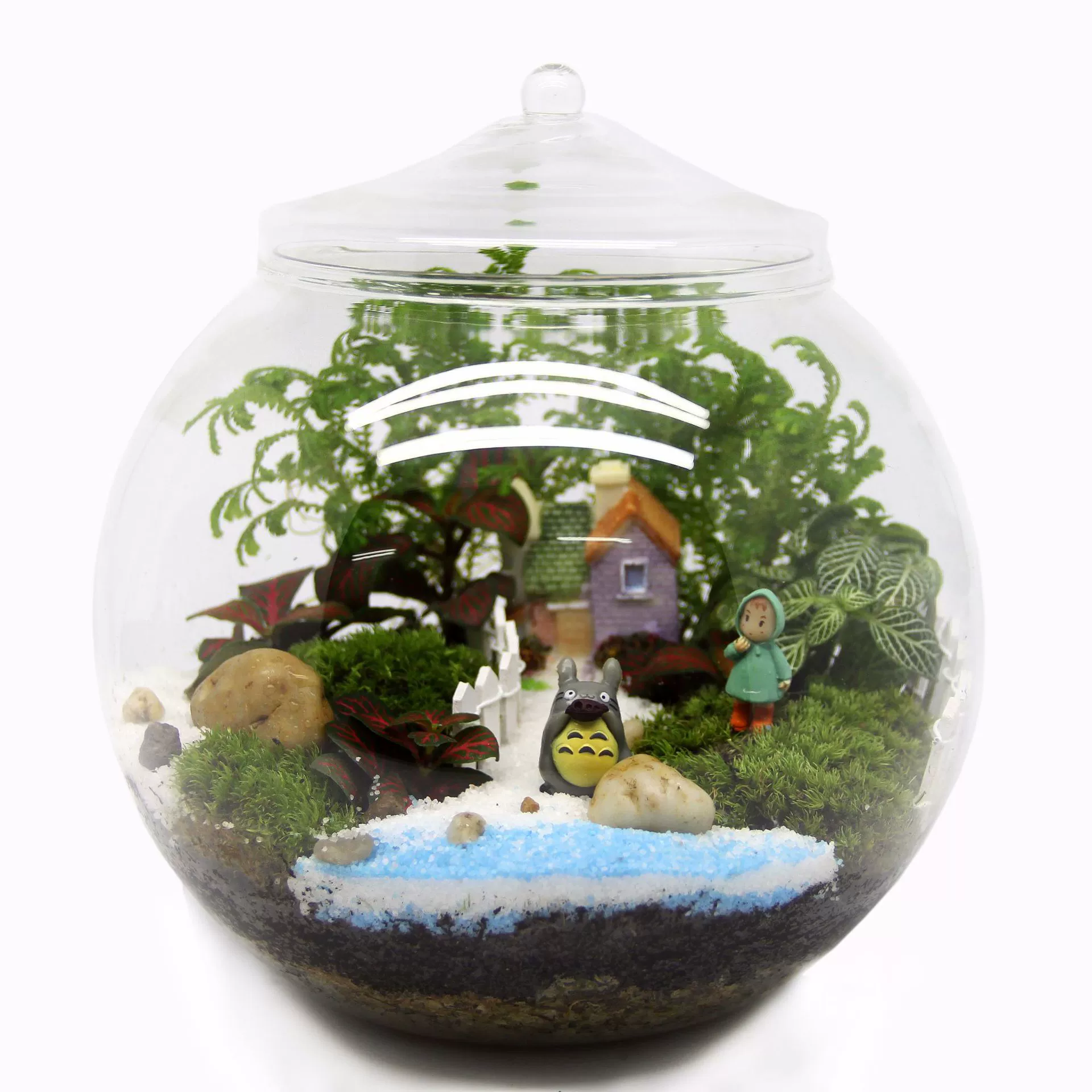 Мох микро пейзаж экологическая бутылка стеклянная крышка бутылка на День Святого Валентина подарок на день рождения живое растение готовый креативный подарок