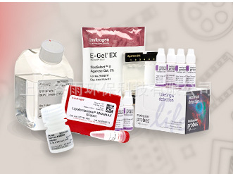 进口氨氮电极，氮气敏电极气敏膜，20片盒、951214、thermo/orion