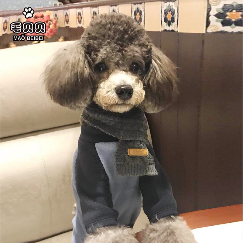 狗狗衣服秋冬装新款宠物泰迪卫衣加厚两脚四脚衣猫咪厂家批发直销|ru