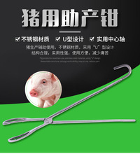 豬安居新款實用全新豬用助產鉗 不銹鋼豬生產輔助助產鉗 廠家批發