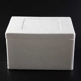 厂家直供聚苯乙烯保丽龙泡沫盒 物流专用泡沫包装 食品冷藏泡沫箱