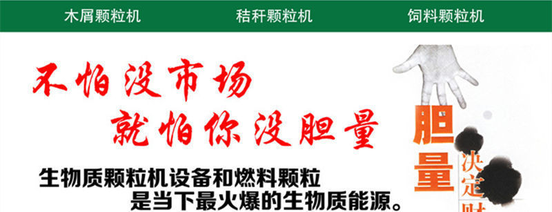 8154765207_2066696623