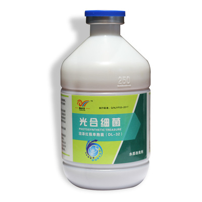 南京渔丰光合细菌菌种鱼虾蟹塘调水净水水产养殖