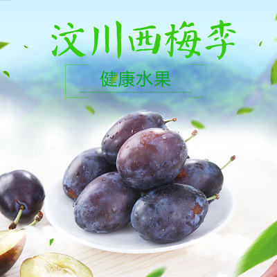 四川西梅李新鲜汶川李子西梅酸甜口感李现摘现发 4斤包邮|ms