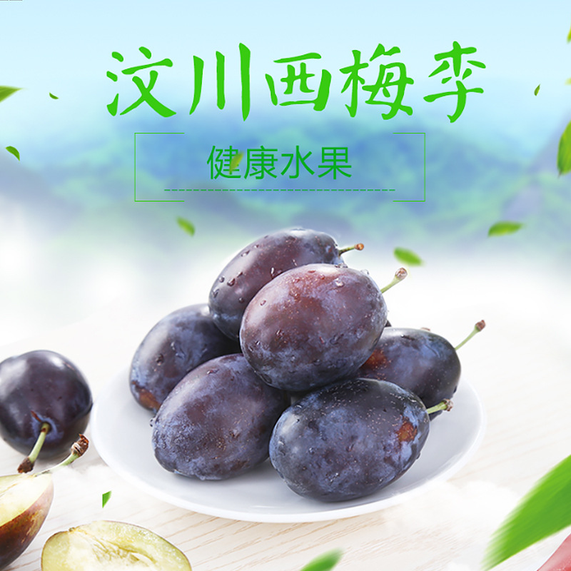 四川西梅李新鲜汶川李子西梅酸甜口感李现摘现发 4斤包邮|ms