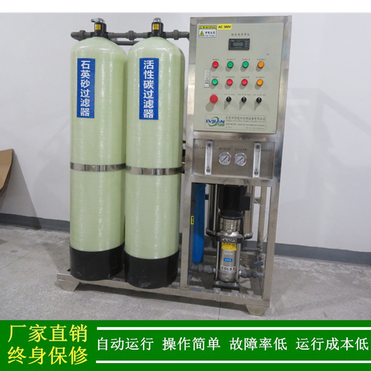 去离子超纯水机 反渗透水处理设备 0.5t/h纯水设备
