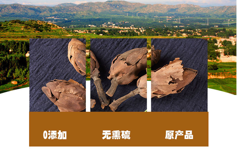 Hou Po Hua (Magnolia officinalis Flower) — Dried Food Herb for Tea & Soup quality and texture