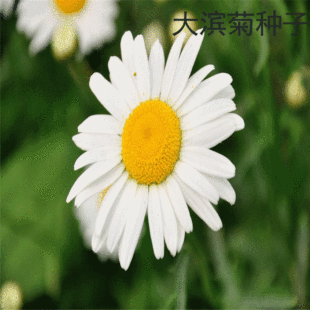 ɢ�b��I�շN�� �������޸��ݱ����� ����I�շN���^�p�ͻ��