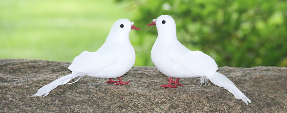 仿真小白鸽