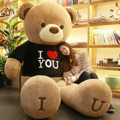 Baby Bear Doll 2 Teddy panda Ragdoll girl Sleep lovely Plush Toys Bear Send his girlfriend