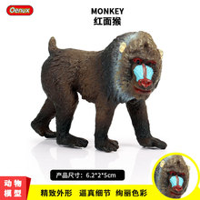 跨境实心仿真野生动物世界狒狒猩猩模型红面猴子儿童玩具手办摆件