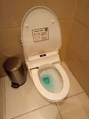 JERRIO Jie Li Ya Primary sources VA-09AH automatic Toilet mat automatic closestool