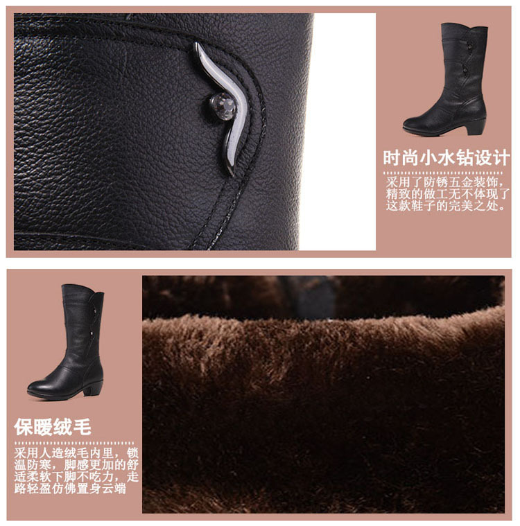 Bottes femme GIOVANNI en En cuir - Ref 3355474 Image 28