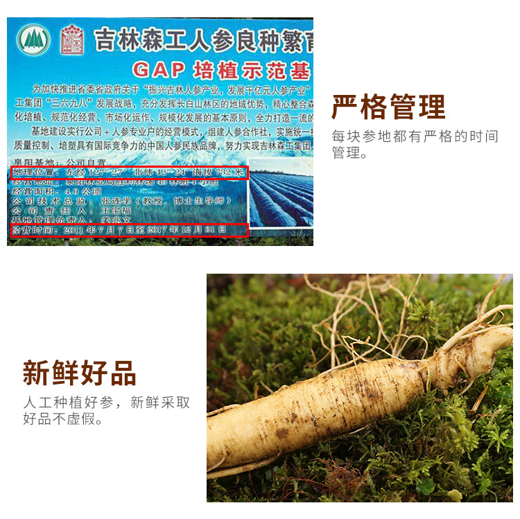 吉森参详情页_11