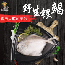 仓鱼 仓鱼品牌 图片 价格 仓鱼批发 阿里巴巴