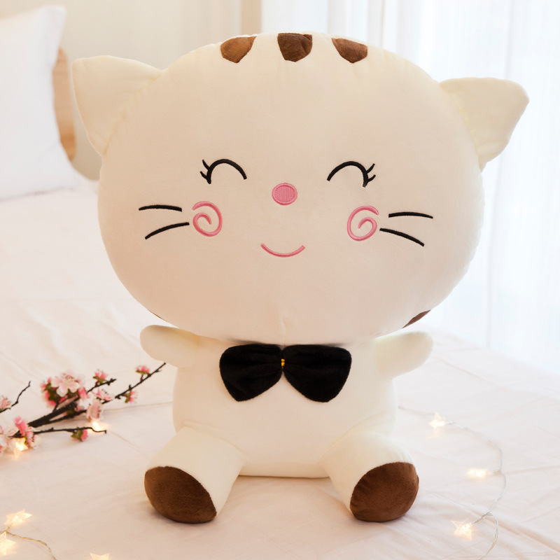 White cute big face cat