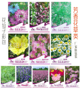 ��ݲʰ��N��ҹ���� �{��� ���ҲݚW����ݲ�˹��ʯ������ݷN��