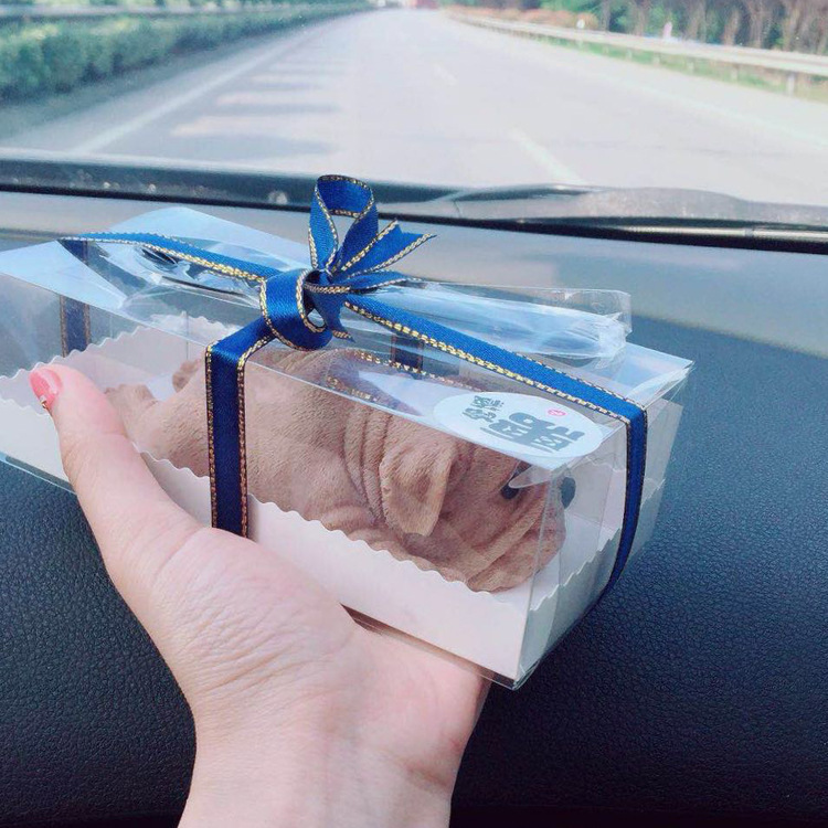 9034968785_1527524214