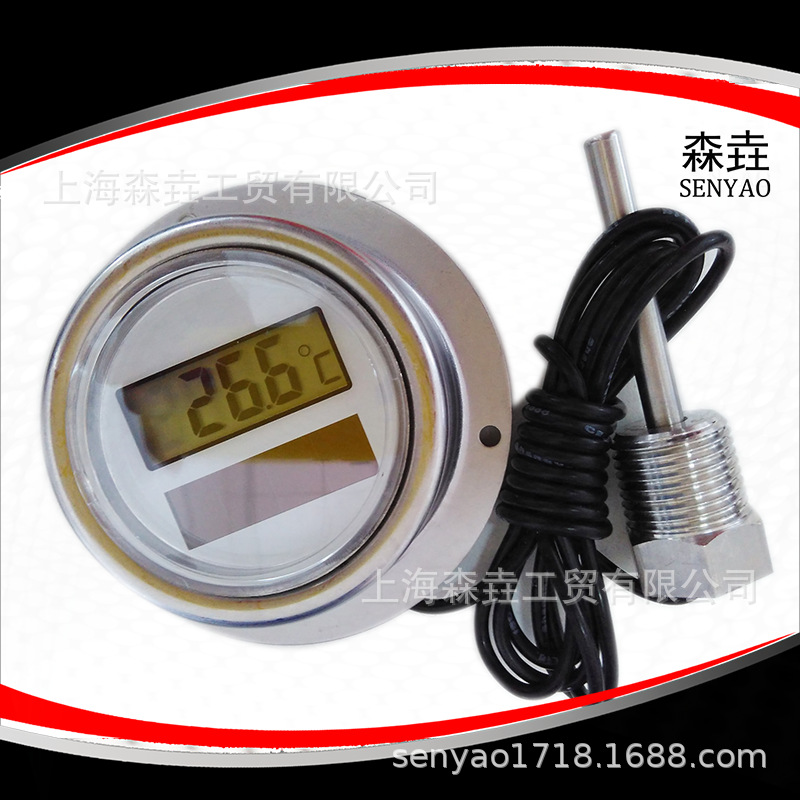 1.2�߳�����̫���������¶ȼƴ�1/2"NPT���� DST2002S1