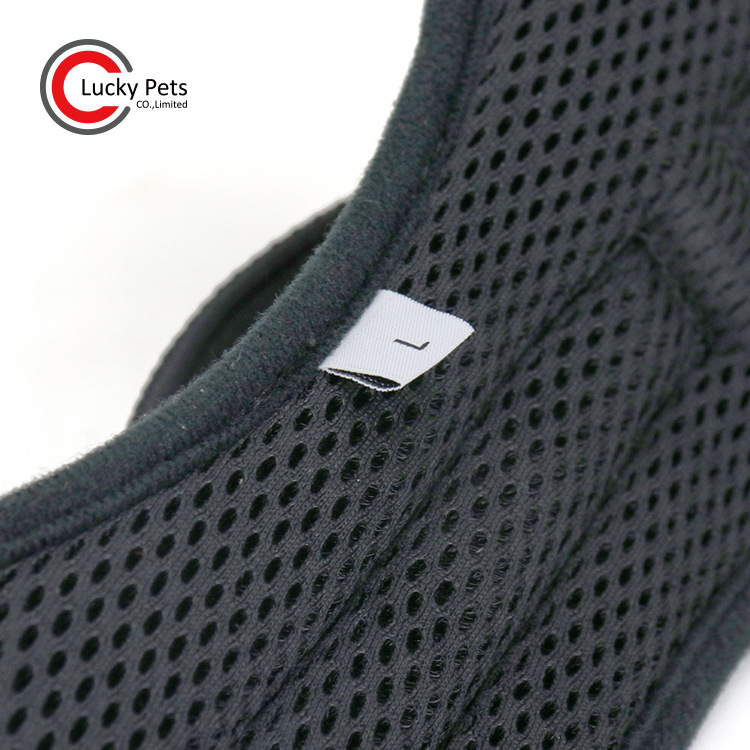 ó¿Ʒ дȮر ţзױ