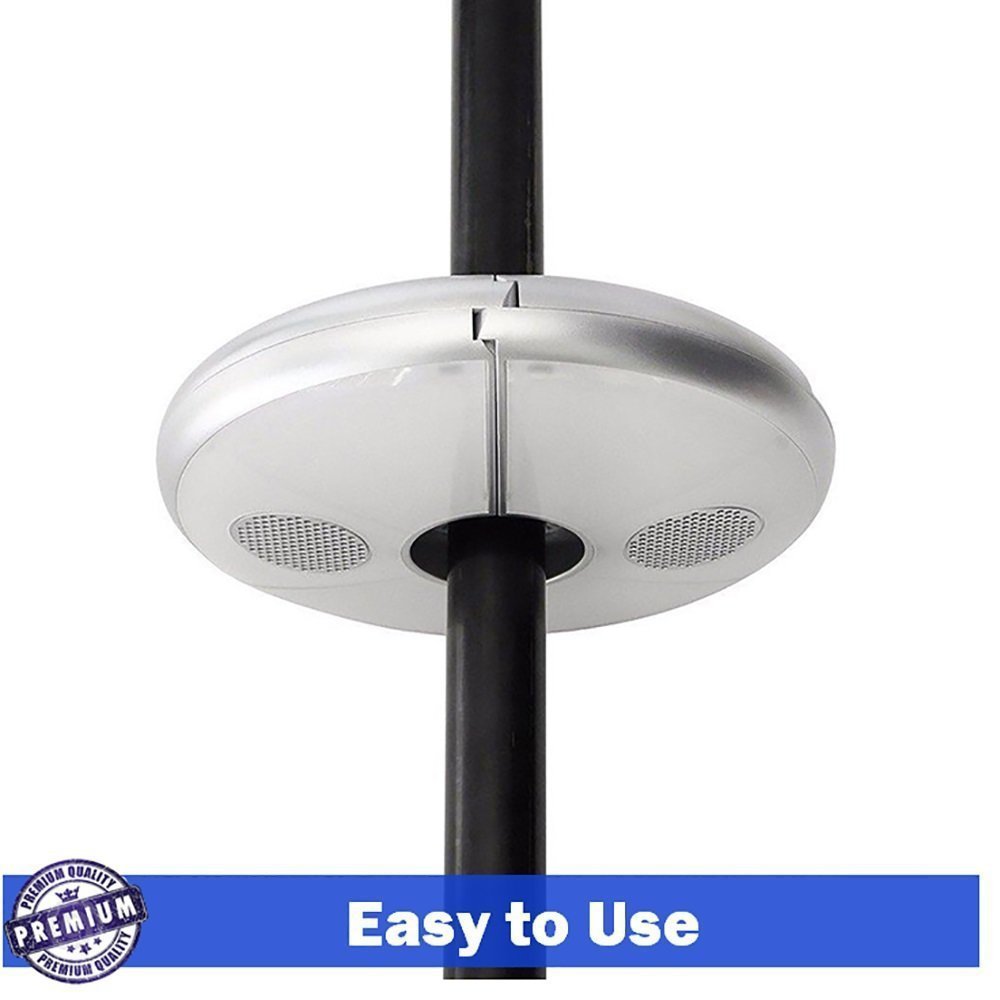 51M5Y8G4QnL._SL1000_