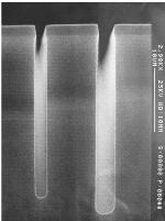 提供SEM掃描電鏡測試