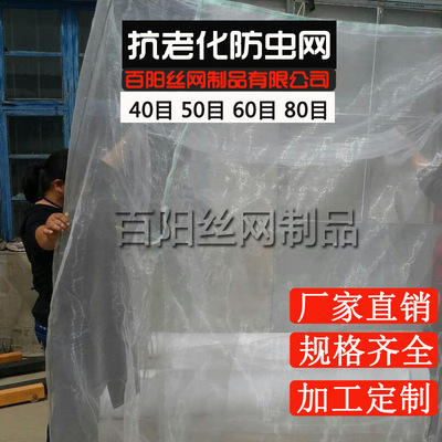 防蟲網大棚防蟲網40目60目80目加厚蝗蟲養殖網罩池塘圍網