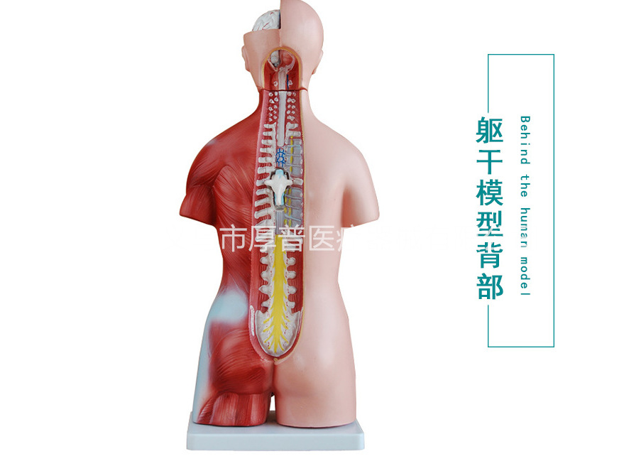 微信图片_20180726170435_副本