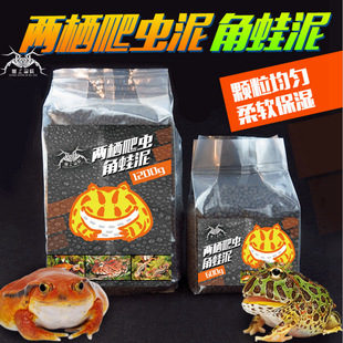 ������ ���܉|�� ���ܵײ� �ɗ����� ��ɫ���� ���x�|����|��