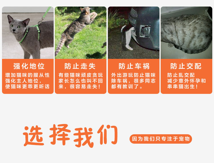 6155903779_1300616989