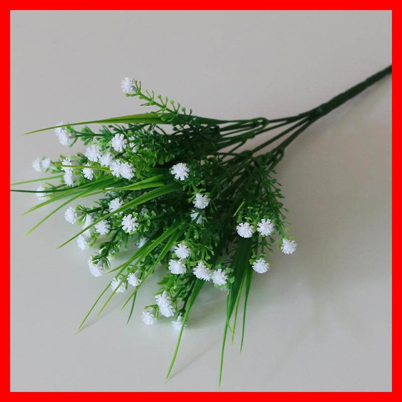 Blanco Rosa pequeña