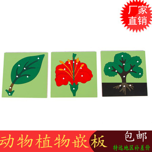 ������̨����������̽̾߄���ֲ��Ƕ����׃�ͯ����ƴ�D�eľ���