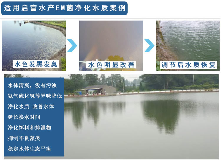 调节虾塘水质问题就用EM菌