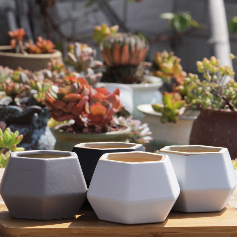 New European Style Simple Succulent Plant Flower Pot Stoneware Breathable Pot Geometric Ceramic Pot Black and White Creative Meat Flower Pot New European Style Simple Succulent Plant Flower Pot Stoneware Breathable Pot Geometric Ceramic Pot Black and White Creative Meat Flower Pot