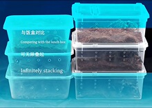 ������B�����x��B��֩���،m������ϐ�������ܞ������w��B��