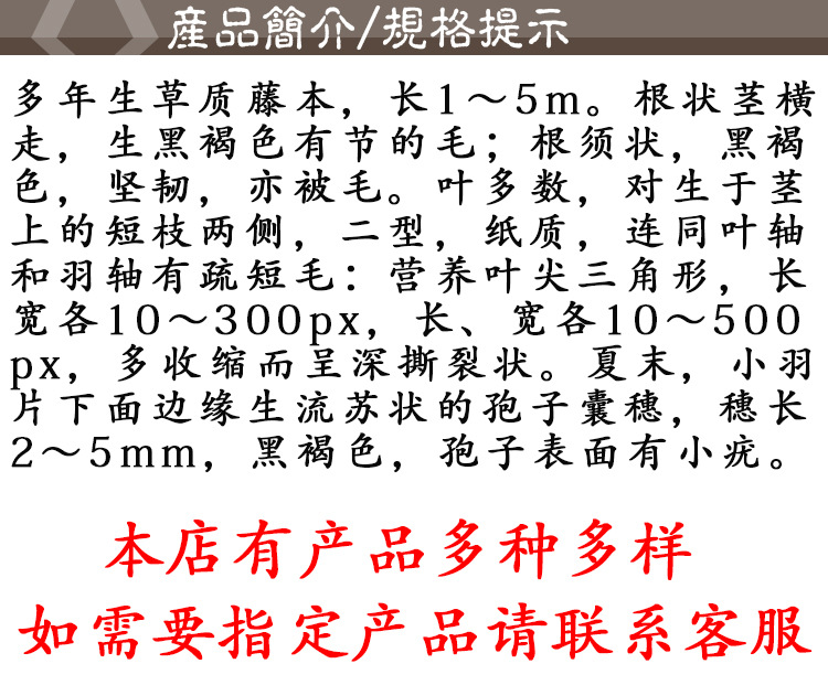 Hai Jin Sha (Lygodium japonicum Spore) — Dried Food Herb, Sichuan Origin, 500g quality and texture