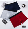 Pants, colored trousers, underwear, shorts, wholesale