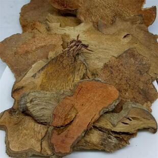 �в� ���� ���� ������ ������ ���� ���� ��؛���l