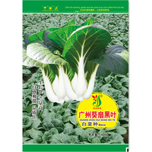 蔬菜种子公司批发 建南种业 广州葵扇黑叶白菜种子优质小白菜高产