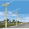 廠家直銷8米中式中華燈  玉蘭燈 廣場燈